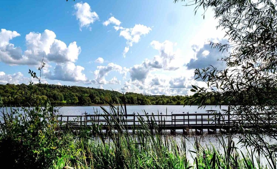 A scenic lake view with a wooden bridge or walkway crossing the water, surrounded by tall grasses and leafy vegetation in the foreground, and a forested area in the background under a partly cloudy sky with sunlight reflecting on the water.